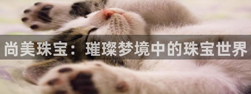 新宝5郑74OOO5：尚美珠宝：璀璨梦境中的珠宝世界