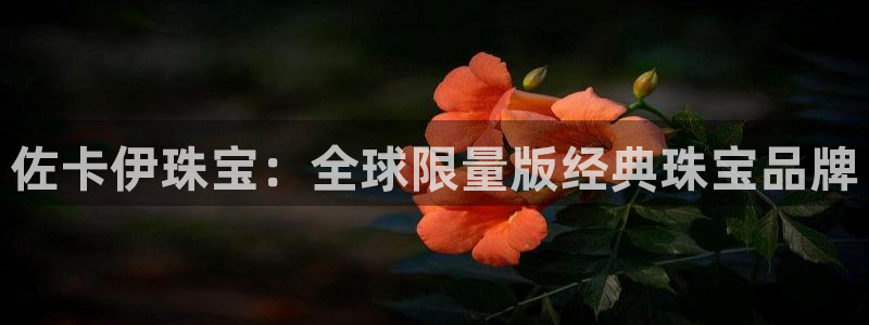 新宝5郑74OOO5：佐卡伊珠宝：全球限量版经典珠宝品牌