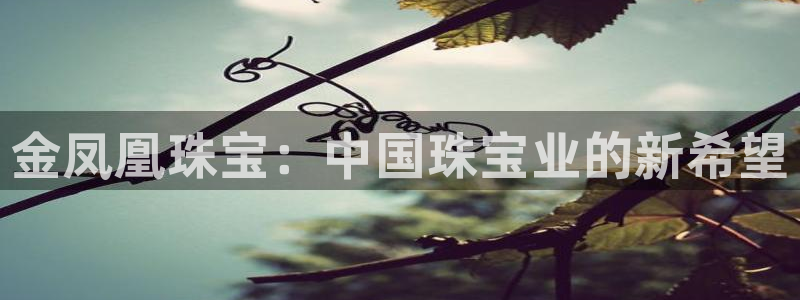 新宝5手机登录：金凤凰珠宝：中国珠宝业的新希望