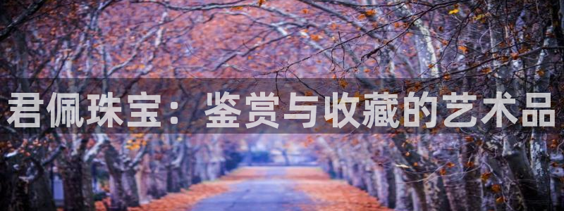 新宝5秒开：君佩珠宝：鉴赏与收藏的艺术品