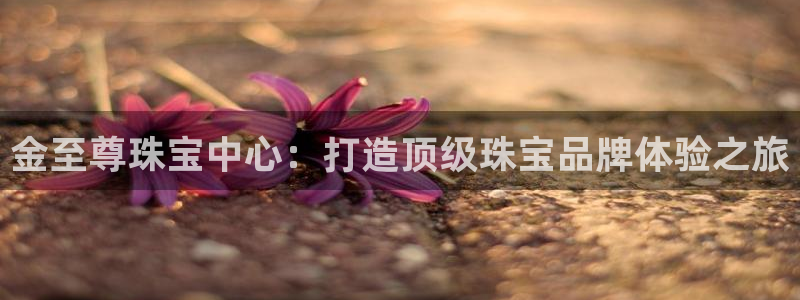 新宝5注册首页：金至尊珠宝中心：打造顶级珠宝品牌体验之旅