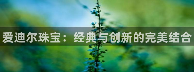 新宝5测速平台登录：爱迪尔珠宝：经典与创新的完美结合
