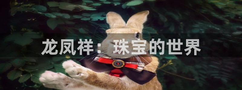 新宝5娱乐学：龙凤祥：珠宝的世界