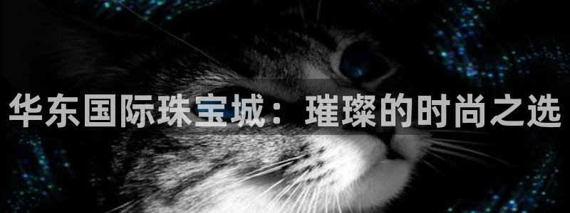 新宝5口67五壹叁八：华东国际珠宝城：璀璨的时尚之选