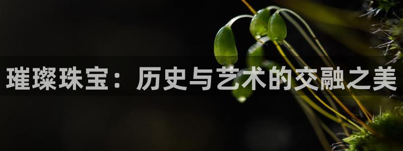 新宝5网址：璀璨珠宝：历史与艺术的交融之美
