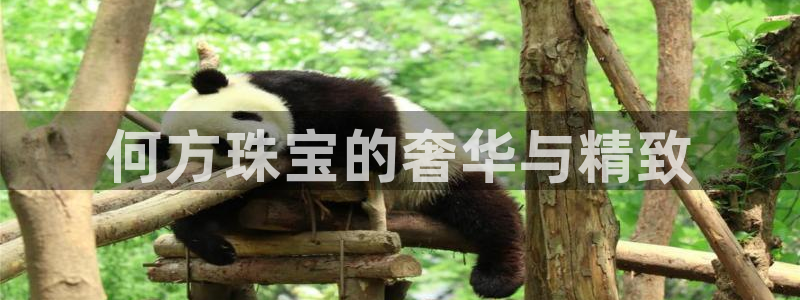 新宝5登录地址：何方珠宝的奢华与精致