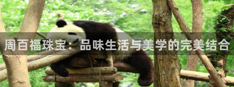 新宝5下载app：周百福珠宝：品味生活与美学的完美结合