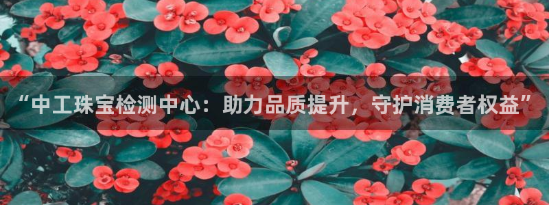 新宝娱乐5入口：“中工珠宝检测中心：助力品质提升，守护消费者权益”