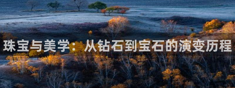 新宝5平台注册公司：珠宝与美学：从钻石到宝石的演变历程