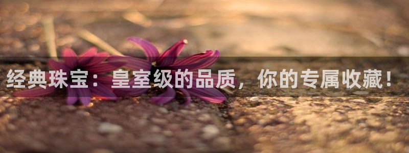 老新宝5授权登录：经典珠宝：皇室级的品质，你的专属收藏！