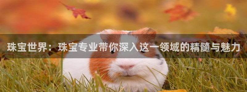 新宝5寻33 300球：珠宝世界：珠宝专业带你深入这一领域的精髓与魅力