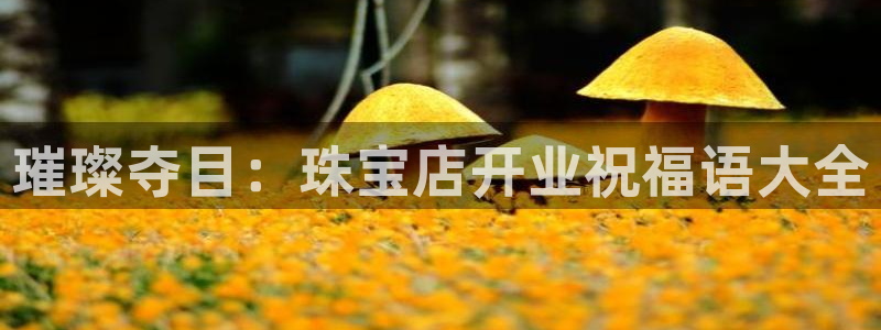 新宝5娱乐多：璀璨夺目：珠宝店开业祝福语大全