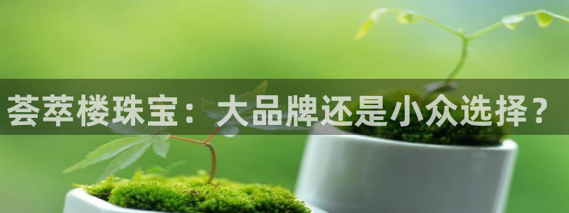 下载新宝5：荟萃楼珠宝：大品牌还是小众选择？