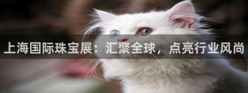 新宝5注册链接：上海国际珠宝展：汇聚全球，点亮行业风尚