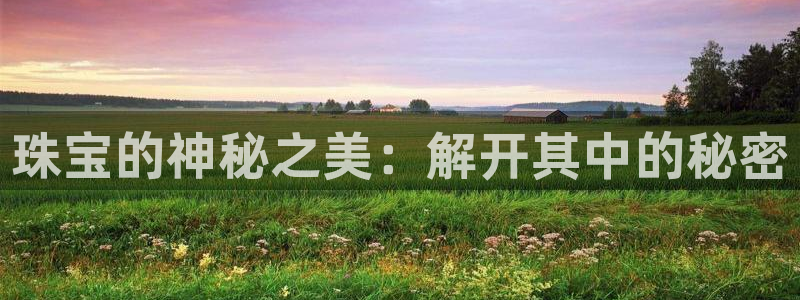 新宝5是什么样子的：珠宝的神秘之美：解开其中的秘密