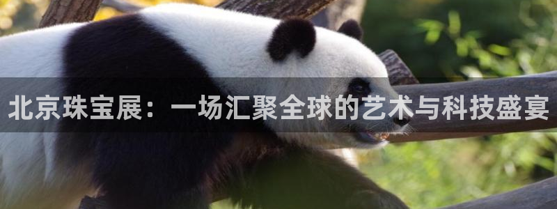 新宝集团新宝5：北京珠宝展：一场汇聚全球的艺术与科技盛宴