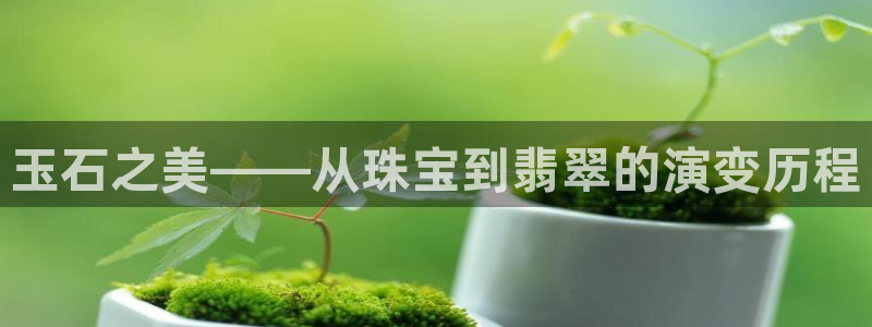新宝5测速登陆：玉石之美——从珠宝到翡翠的演变历程