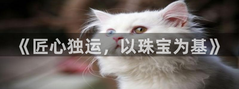 新宝5娱乐登陆：《匠心独运，以珠宝为基》