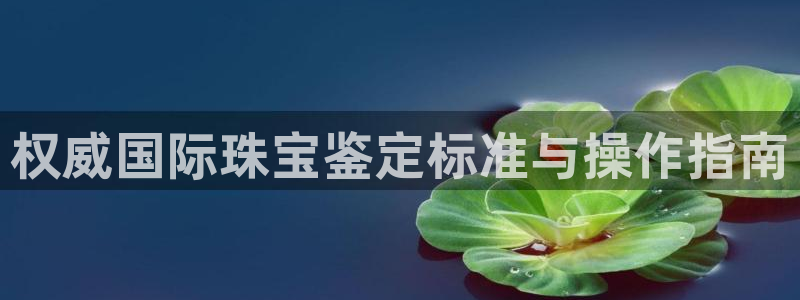 新宝5手机下载：权威国际珠宝鉴定标准与操作指南