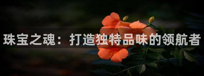 新宝注5册：珠宝之魂：打造独特品味的领航者