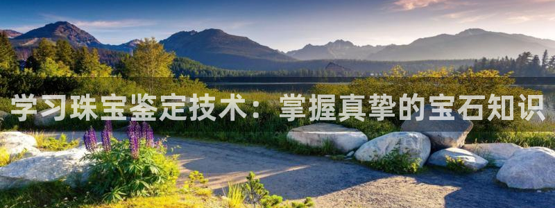 新宝5寻33 300球：学习珠宝鉴定技术：掌握真挚的宝石知识