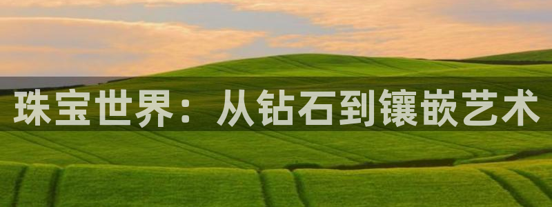 新宝股东张听2 5 5：珠宝世界：从钻石到镶嵌艺术
