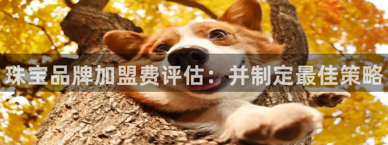 新5宝：珠宝品牌加盟费评估：并制定最佳策略