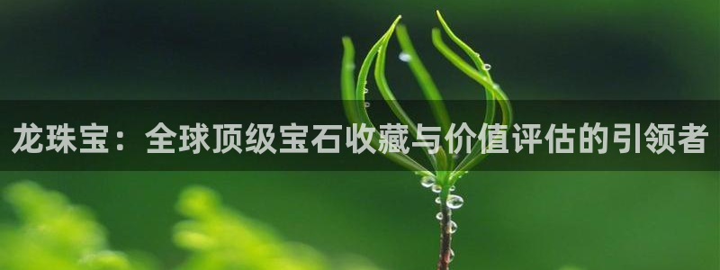 新宝5测速：龙珠宝：全球顶级宝石收藏与价值评估的引领者