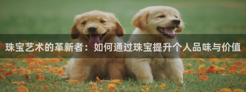 新宝5浗维33 300：珠宝艺术的革新者：如何通过珠宝提升个人品味与价值