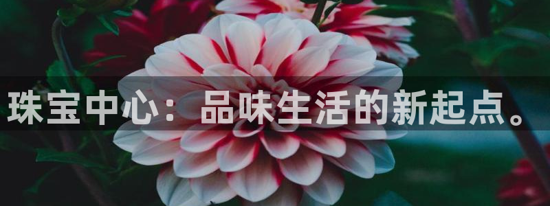 新宝5是什么：珠宝中心：品味生活的新起点。