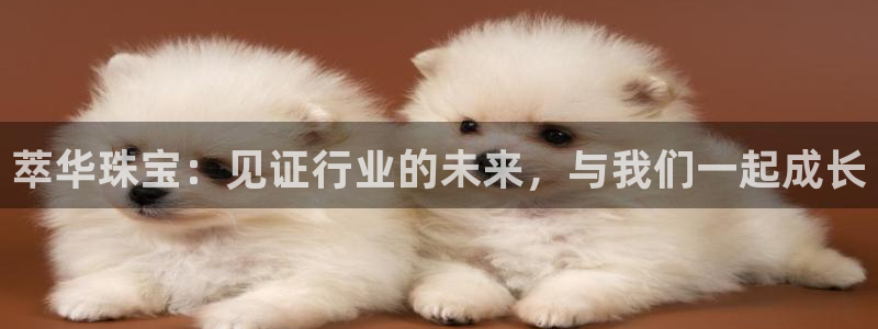 新宝5怎么代理：萃华珠宝：见证行业的未来，与我们一起成长