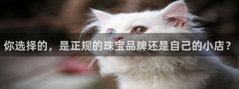 新宝5注册平台：你选择的，是正规的珠宝品牌还是自己的小店？