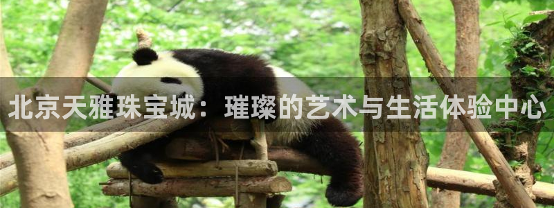 新宝5策略：北京天雅珠宝城：璀璨的艺术与生活体验中心