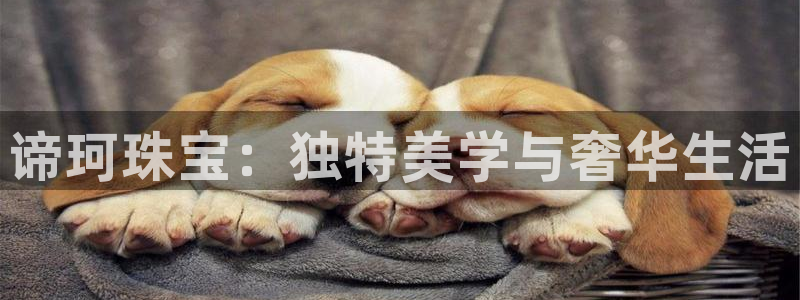 皇冠新宝5：谛珂珠宝：独特美学与奢华生活