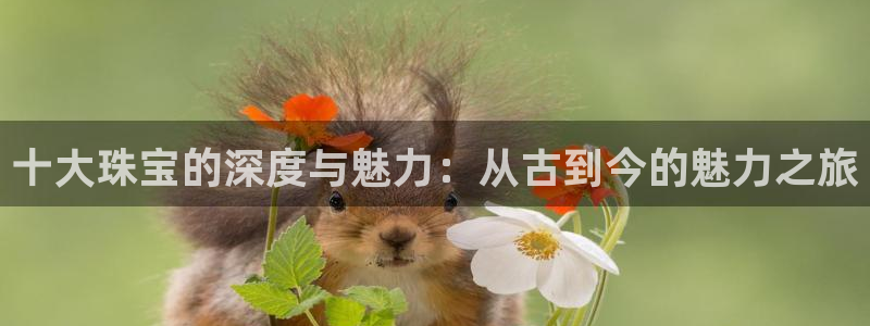 新宝5上70 667：十大珠宝的深度与魅力：从古到今的魅力之旅