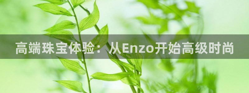 新宝5怎么下载到桌面：高端珠宝体验：从Enzo开始高级时尚