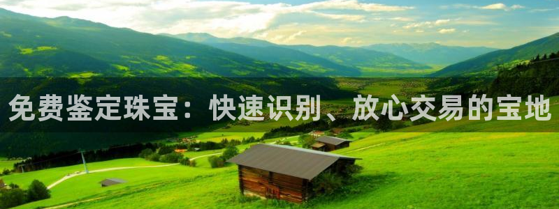 新宝5手机下载：免费鉴定珠宝：快速识别、放心交易的宝地