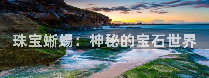 新宝5彩票是正规平台吗：珠宝蜥蜴：神秘的宝石世界