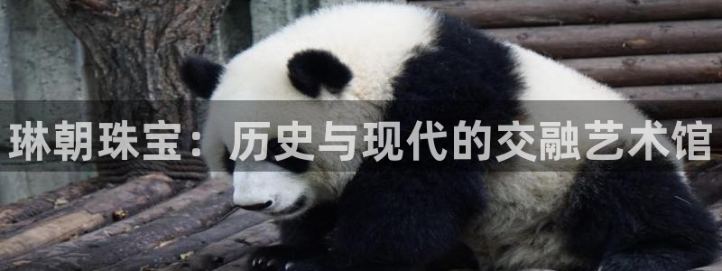 新宝5注册：琳朝珠宝：历史与现代的交融艺术馆