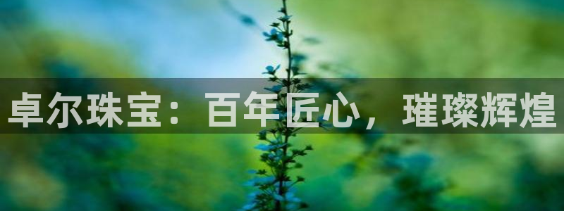 新宝5源码：卓尔珠宝：百年匠心，璀璨辉煌