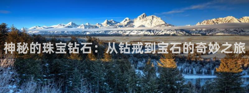 新宝速5：神秘的珠宝钻石：从钻戒到宝石的奇妙之旅