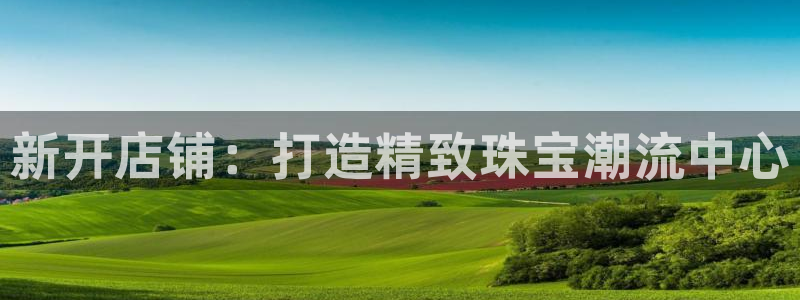 新宝5登录不了：新开店铺：打造精致珠宝潮流中心