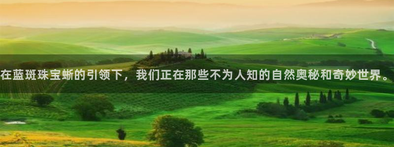 新宝5 代理：在蓝斑珠宝蜥的引领下，我们正在那些不为人知的自然奥秘和奇妙世界。
