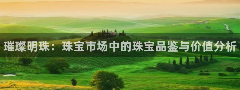 新宝5尤74OOO5：璀璨明珠：珠宝市场中的珠宝品鉴与价值分析