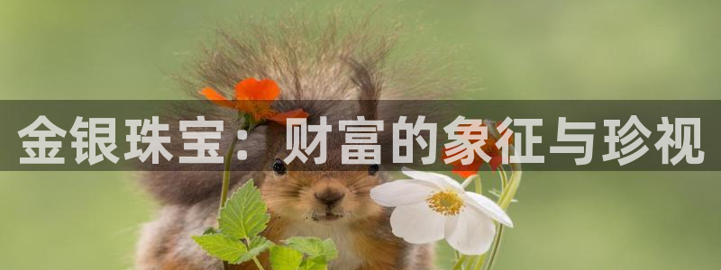 新宝5天：金银珠宝：财富的象征与珍视