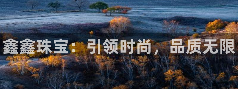 菲律宾新宝5老板：鑫鑫珠宝：引领时尚，品质无限