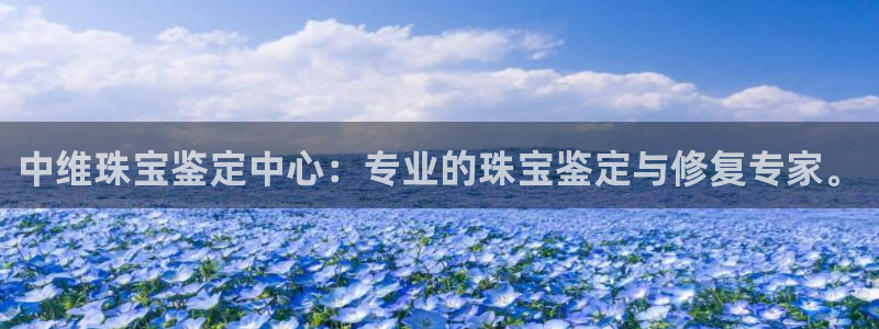 新宝5代理注册：中维珠宝鉴定中心：专业的珠宝鉴定与修复专家。