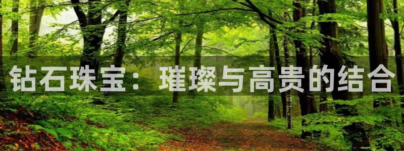 新宝5蒋7O667：钻石珠宝：璀璨与高贵的结合