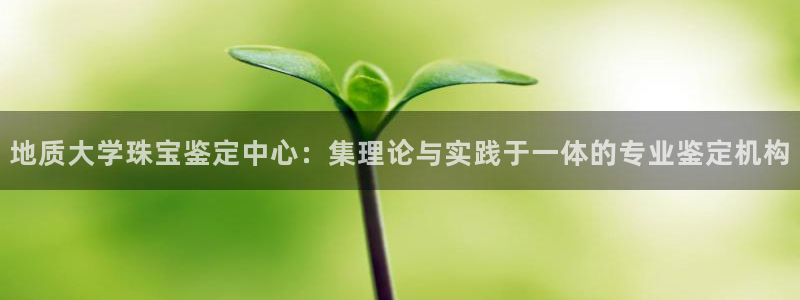 新宝5娱乐主管：地质大学珠宝鉴定中心：集理论与实践于一体的专业鉴定机构