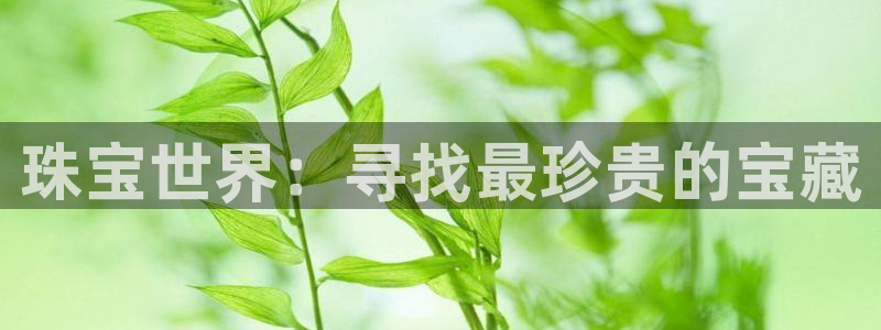 新宝5手机版：珠宝世界：寻找最珍贵的宝藏